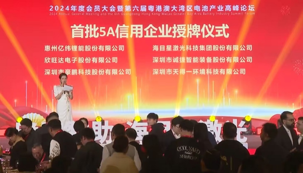 ng28(南宫)荣获广东省电池行业协会首批“AAAAA信用企业” 资质认定